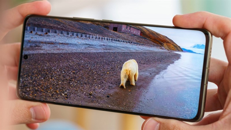 Xiaomi 14 Ultra liệu có tiếp tục sử dụng cảm biến 1 inch? Xiaomi 14 Ultra liệu có tiếp tục sử dụng cảm biến 1 inch?