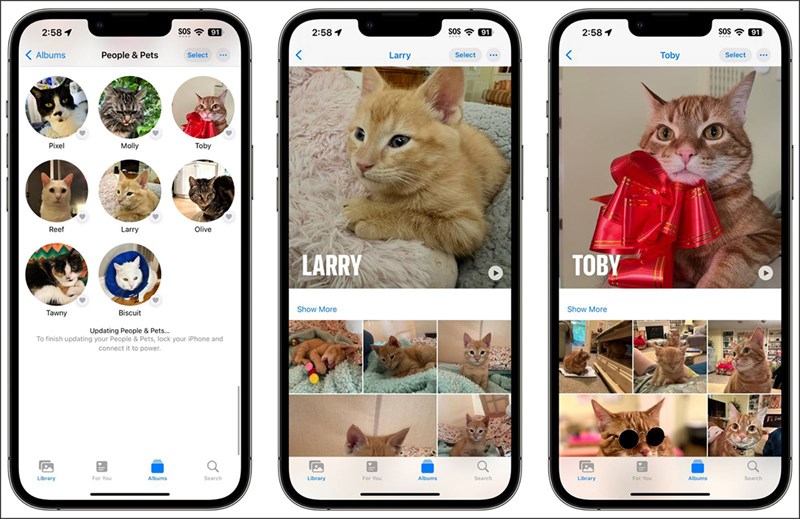 Tính năng nhận dạng ảnh thú cưng hoàn toàn mới trong iOS 17 Tính năng nhận dạng ảnh thú cưng hoàn toàn mới trong iOS 17