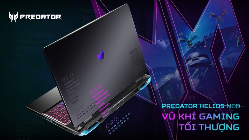 Acer Acer
