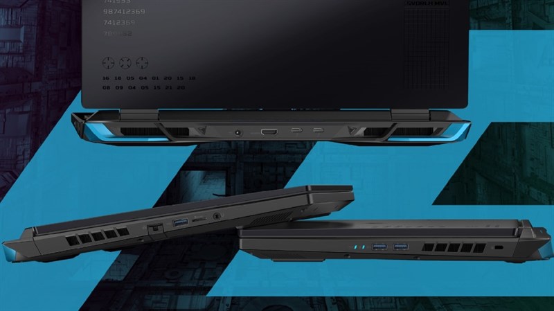 Acer Acer