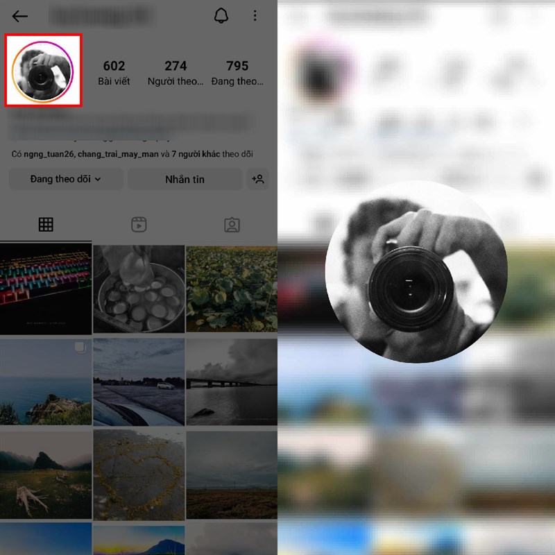 Cách xem ảnh đại diện trên Instagram