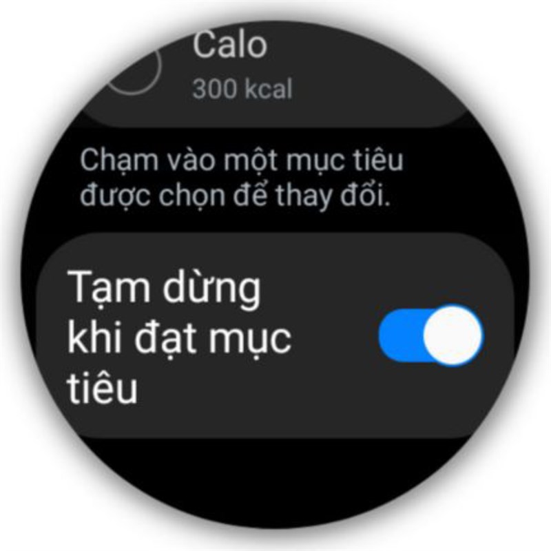 Ngoài ra, thiết bị cũng sẽ tự động tạm dừng theo dõi luyện tập khi mình đã đạt được mục tiêu.