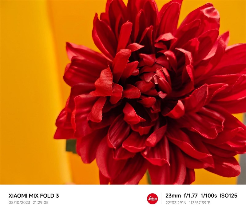 Mẫu chụp cận cảnh được xử lý bởi Xiaomi MIX Fold 3 Mẫu chụp cận cảnh được xử lý bởi Xiaomi MIX Fold 3