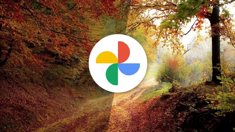 Google Photos sẽ được hỗ trợ định dạng Ultra HDR (Ảnh: Android Police)