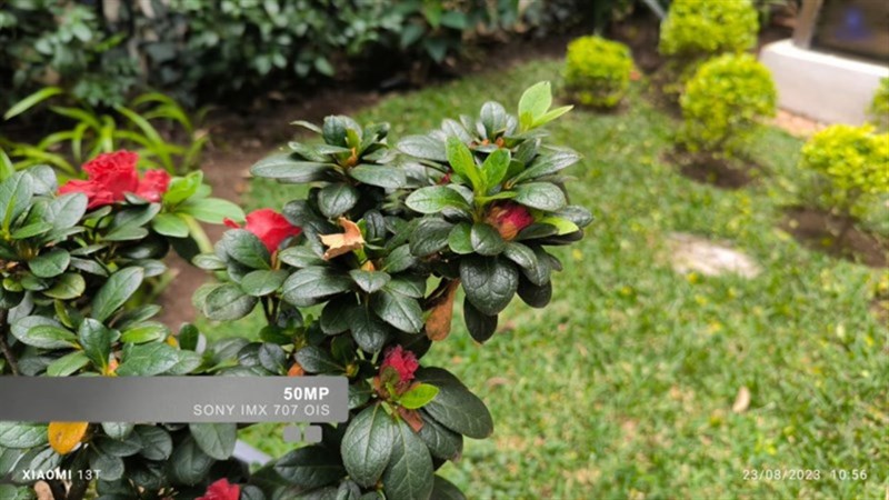 Ảnh chụp từ camera sau 50 MP của Xiaomi 13T Ảnh chụp từ camera sau 50 MP của Xiaomi 13T