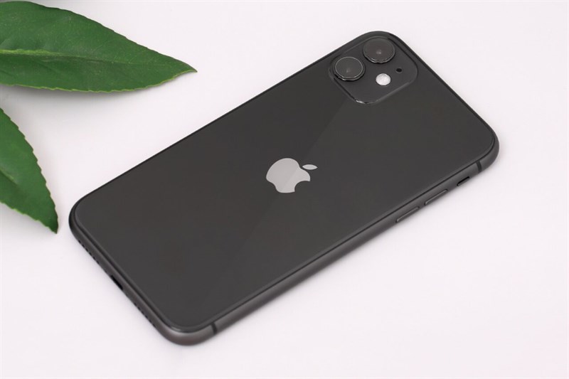 iPhone 11 iPhone 11