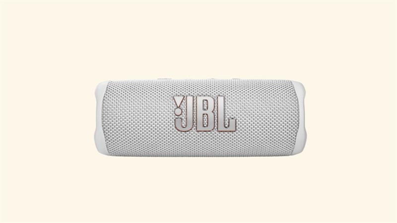 JBL Flip 6