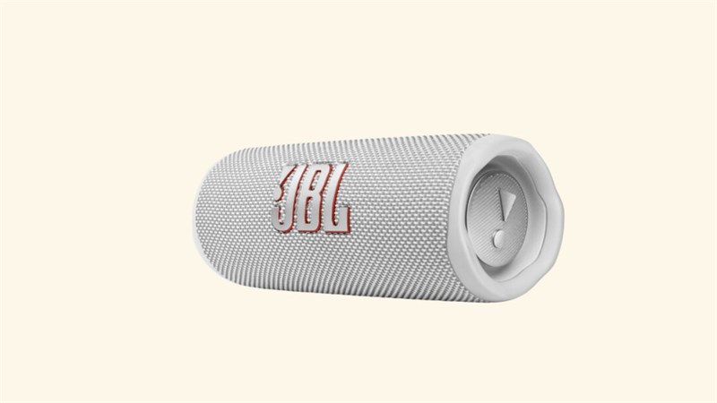 JBL Flip 6