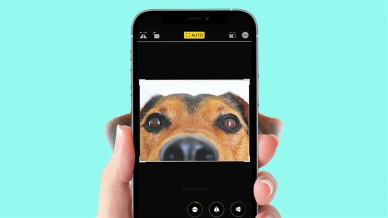 Cách cập nhật iOS 17 cho iPhone 12 mini Cách cập nhật iOS 17 cho iPhone 12 mini
