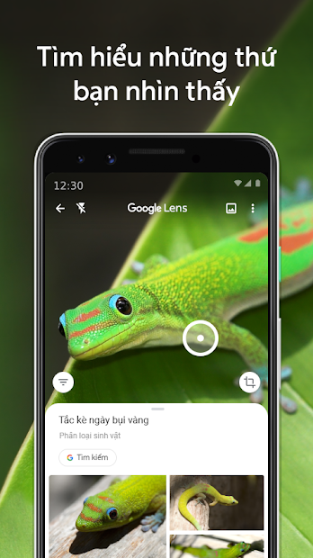 Screenshots Google Ống kính - Google Lens: Dịch văn bản, nhận diện đồ vật