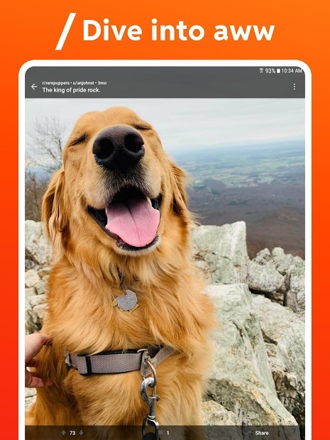 Screenshots Reddit - Ứng dụng diễn đàn thông tin và giải trí