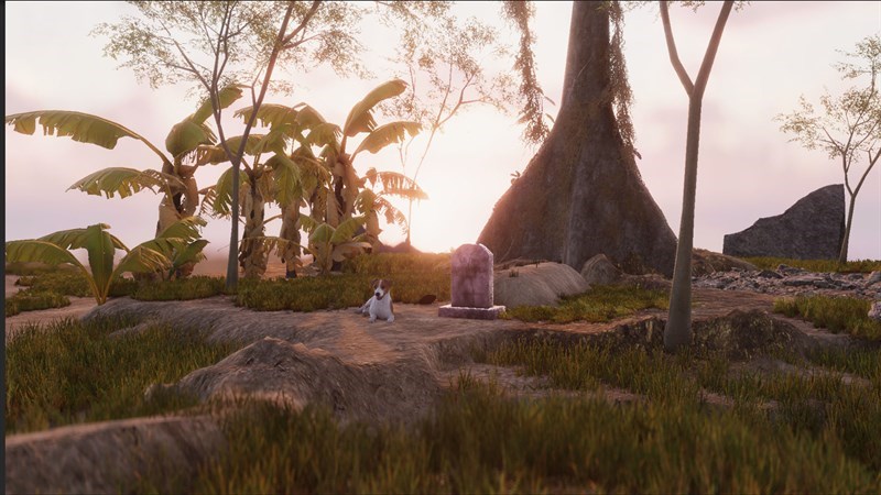 Screenshots Blood Field - Cỏ Máu: Game kinh dị thuần Việt