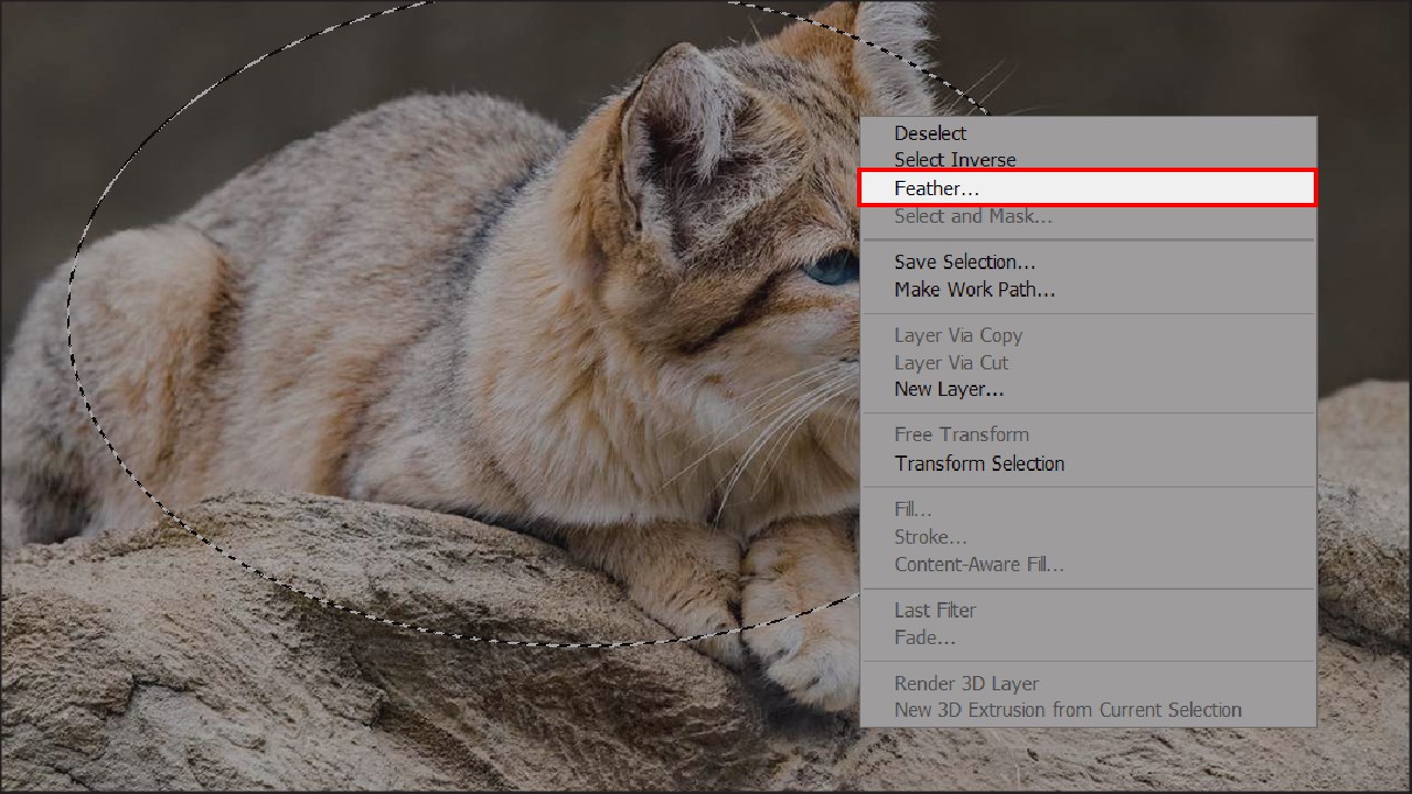 Cách tạo viền mờ trong ảnh bằng Photoshop Cách tạo viền mờ trong ảnh bằng Photoshop