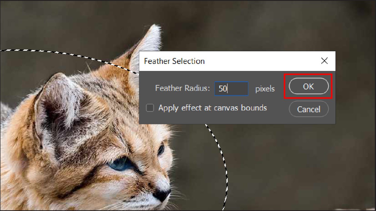 Cách tạo viền mờ trong ảnh bằng Photoshop Cách tạo viền mờ trong ảnh bằng Photoshop