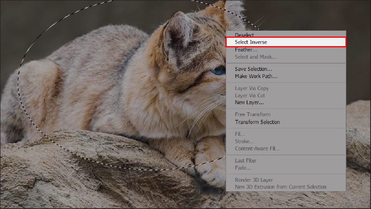 Cách tạo viền mờ trong ảnh bằng Photoshop Cách tạo viền mờ trong ảnh bằng Photoshop