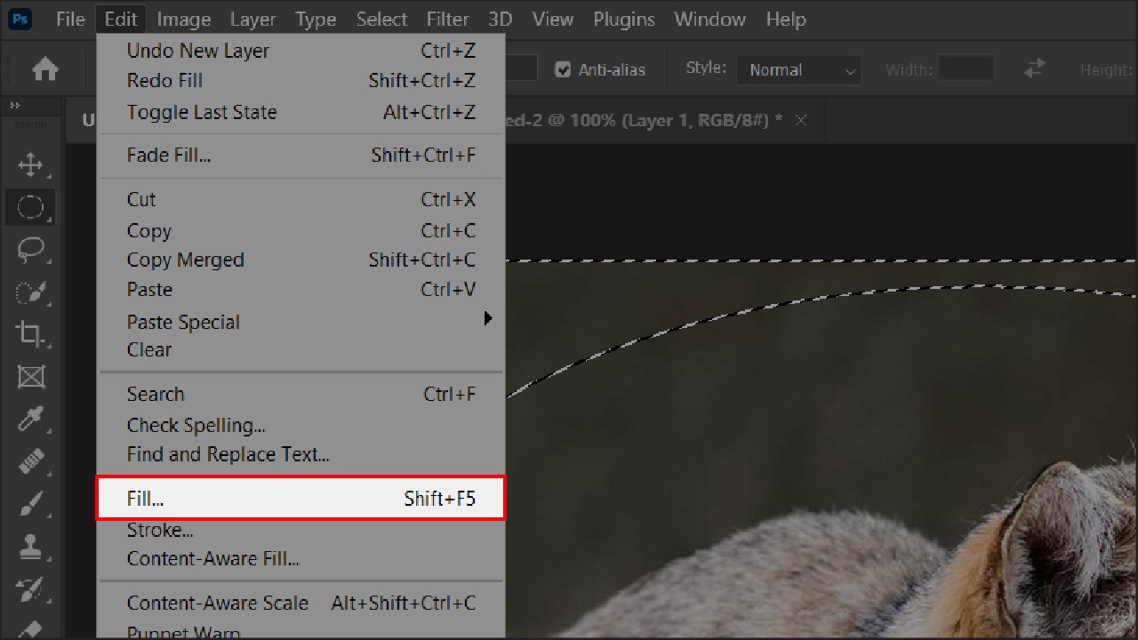 Cách tạo viền mờ trong ảnh bằng Photoshop Cách tạo viền mờ trong ảnh bằng Photoshop