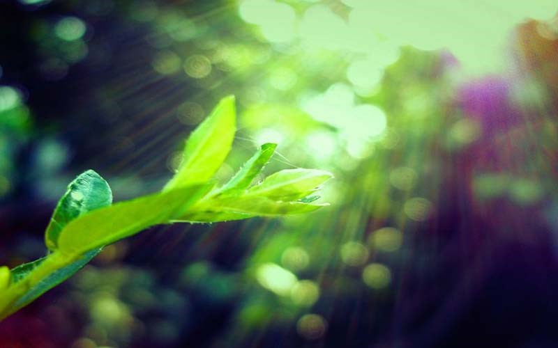 Tăng khoảng cách giữa chủ thể và nền Tăng khoảng cách giữa chủ thể và nền