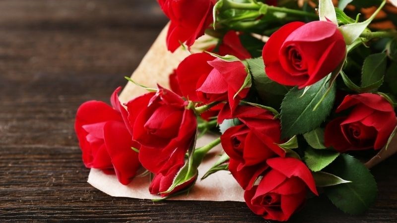 Hoa tươi là món quà cũng đáng cân nhắc Hoa tươi là món quà cũng đáng cân nhắc