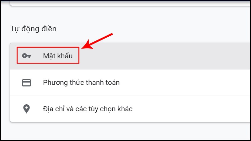 Chọn Mật khẩu trong mục Tự động điền 