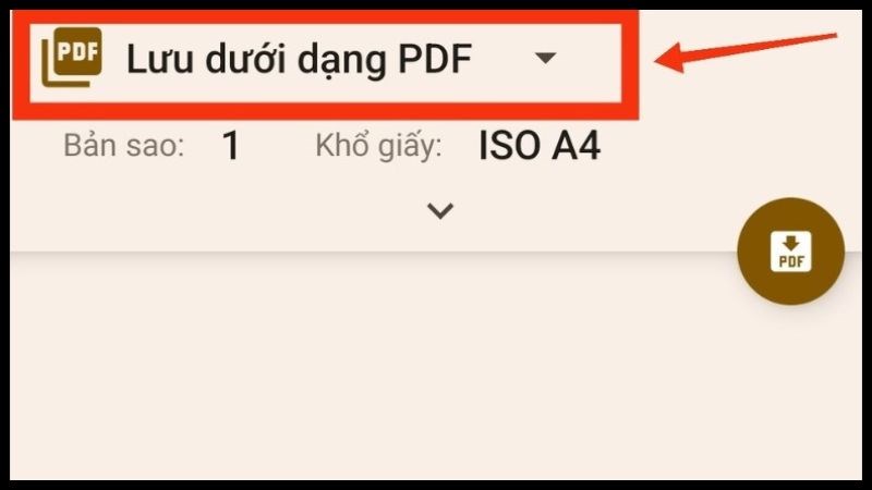 Chọn Lưu dưới dạng PDF