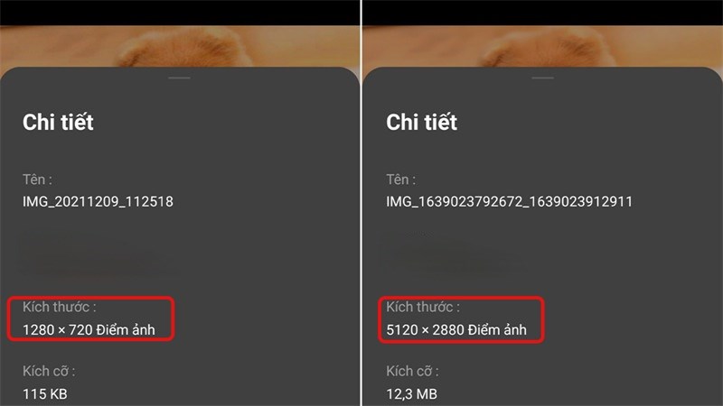 Cách phóng to ảnh không bị vỡ trên điện thoại Cách phóng to ảnh không bị vỡ trên điện thoại