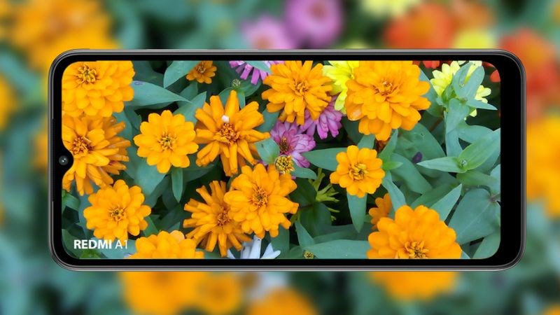 Camera Xiaomi Redmi A1 vô cùng rõ nét và chân thực