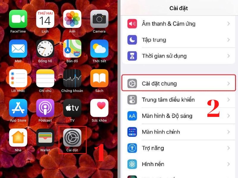 Cài đặt > Cài đặt chung