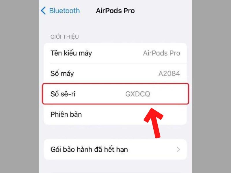 Dãy ký tự bên cạnh số sê-ri chính là IMEI của AirPods Pro