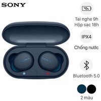 Tai nghe Bluetooth Sony Extra Bass True Wireless WF-XB700