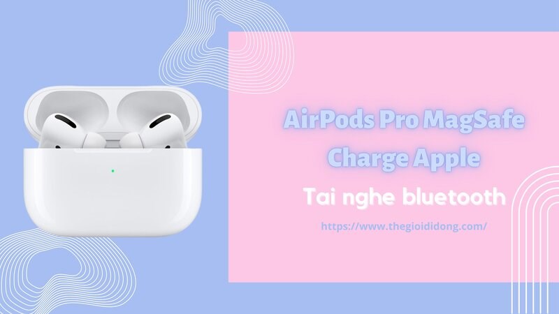 Ngoại hình bo tròn, mềm mại