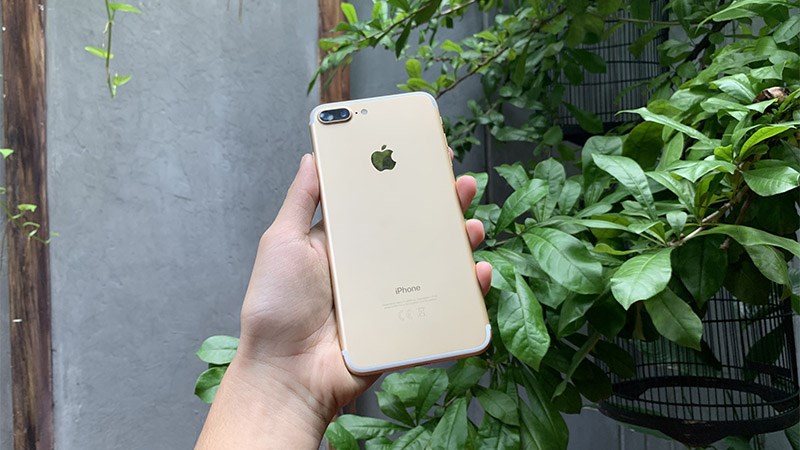 Màu vàng đồng sang trọng đặc trưng của Apple