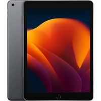 Máy tính bảng iPad 9 WiFi 256GB