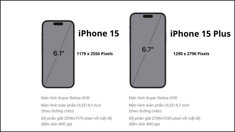 Sự khác biệt về thông số màn hình giữa iPhone 15 và iPhone 15 Plus