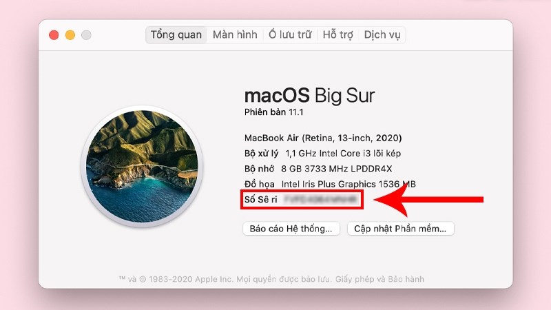 Kiểm tra thông tin máy như: Tên máy, số model, số seri, CPU, RAM, GPU,.... Kiểm tra thông tin máy như: Tên máy, số model, số seri, CPU, RAM, GPU,....