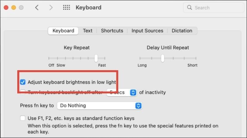 Bật Adjust keyboard brightness in low light