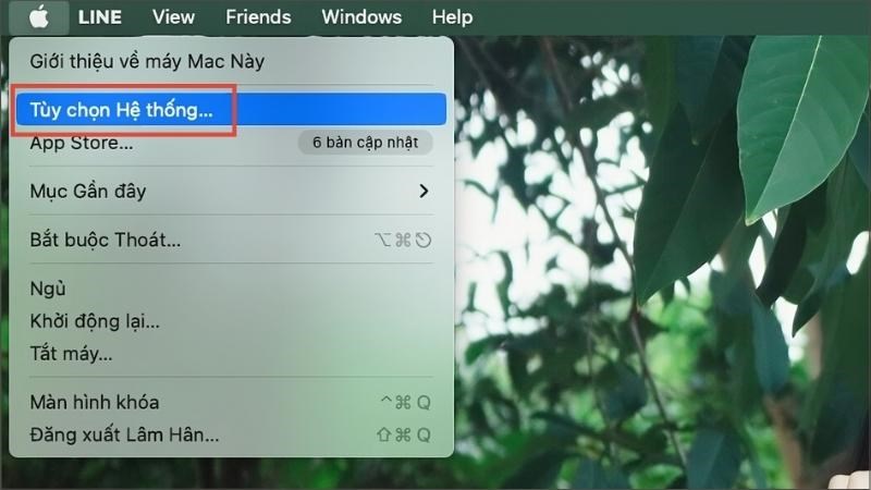 Vào Tuỳ chọn hệ thống (System Preferences) Vào Tuỳ chọn hệ thống