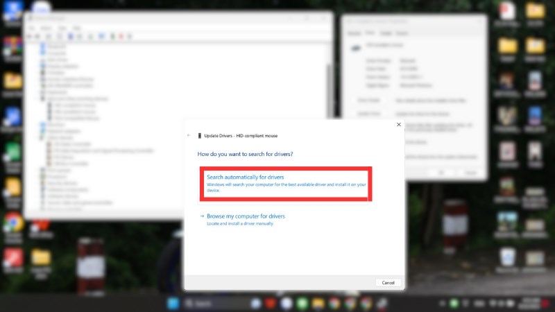 z Click Search automatically và tuân theo hướng dẫn để hoàn tất