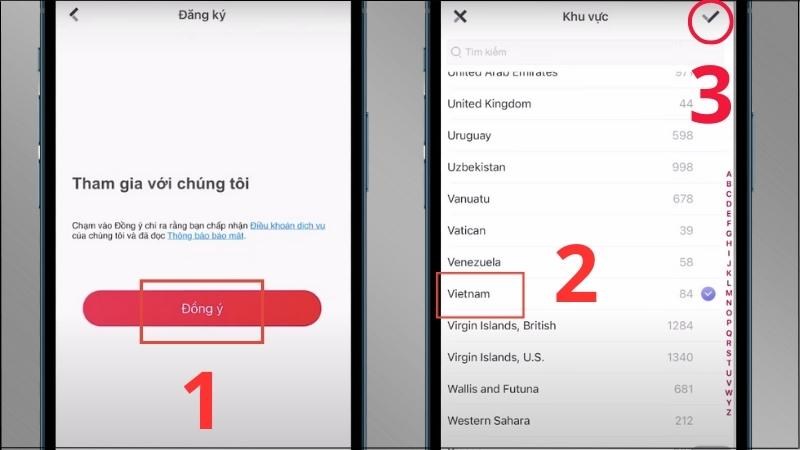 Chọn Đồng ý > Chọn khu vực Vietnam > Nhấn vào dấu tick