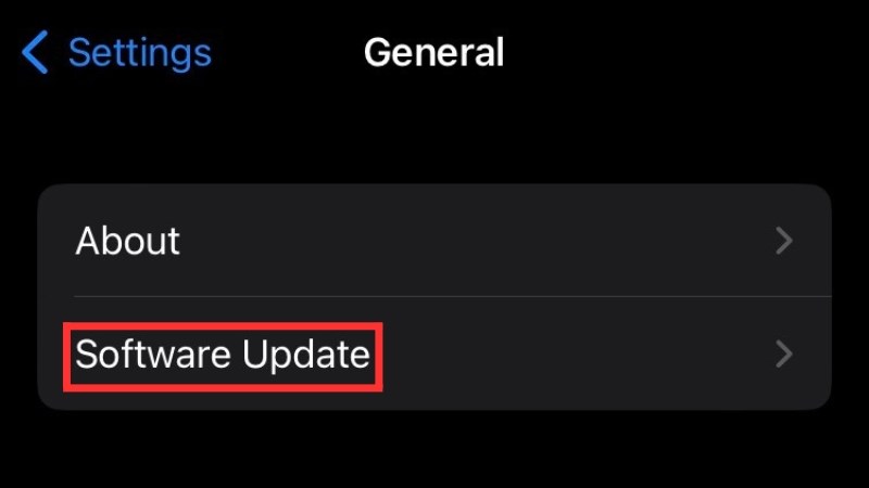 z Chọn Software Update (Cập nhật phần mềm)