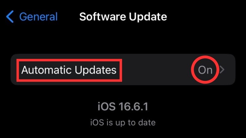 z Chuyển Automatic Updates sang chế độ ON