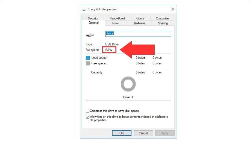 Nếu File System (Hệ thống tập tin) ở trạng thái RAW chứng tỏ USB của bạn đang bị chuyển sang định dạng RAW