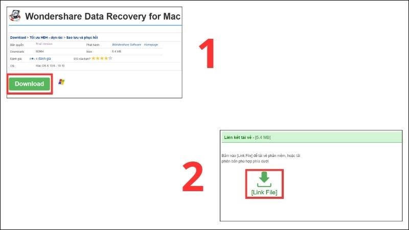 Nhấn Download > Link File để tải Wondershare Data Recovery