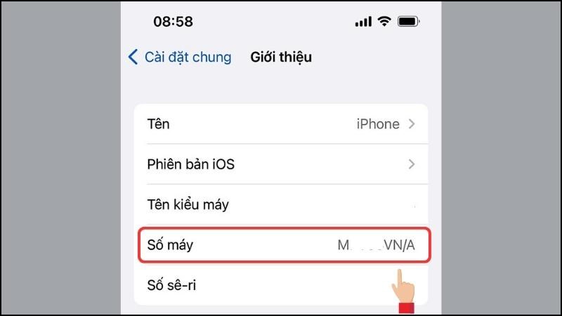 Hiển thị dãy thông tin dưới dạng MxxxYY/A