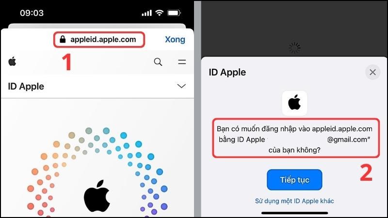Đăng nhập vào trang web bằng chính email và mật khẩu trong Apple Store