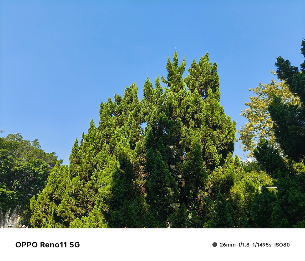 Ảnh chụp bởi camera chính 50 MP của OPPO Reno11