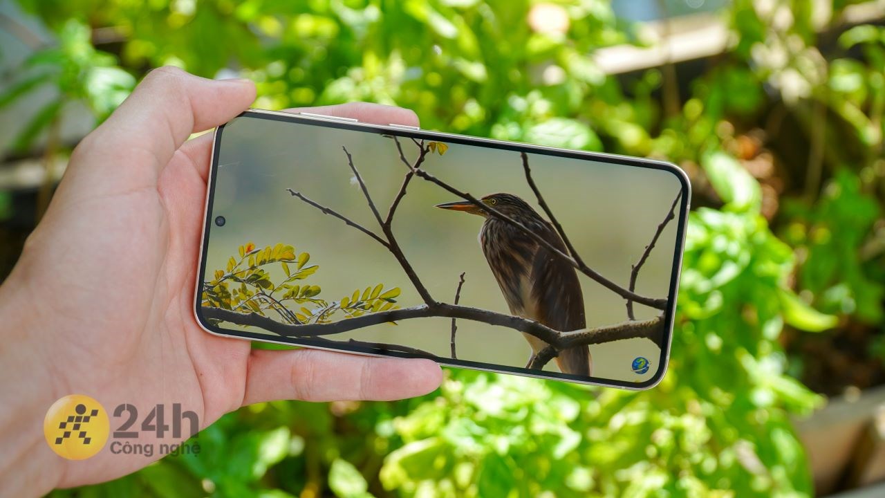 Galaxy S24 Plus được liệt kê trên trang bán hàng Galaxy S24 Plus được liệt kê trên trang bán hàng