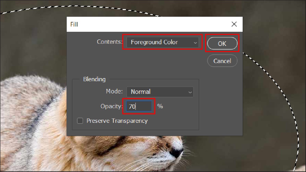 Cách tạo viền mờ trong ảnh bằng Photoshop Cách tạo viền mờ trong ảnh bằng Photoshop
