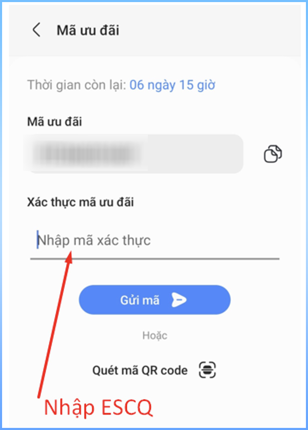 Sao chép mã ở mục Mã ưu đãi Sao chép mã ở mục Mã ưu đãi