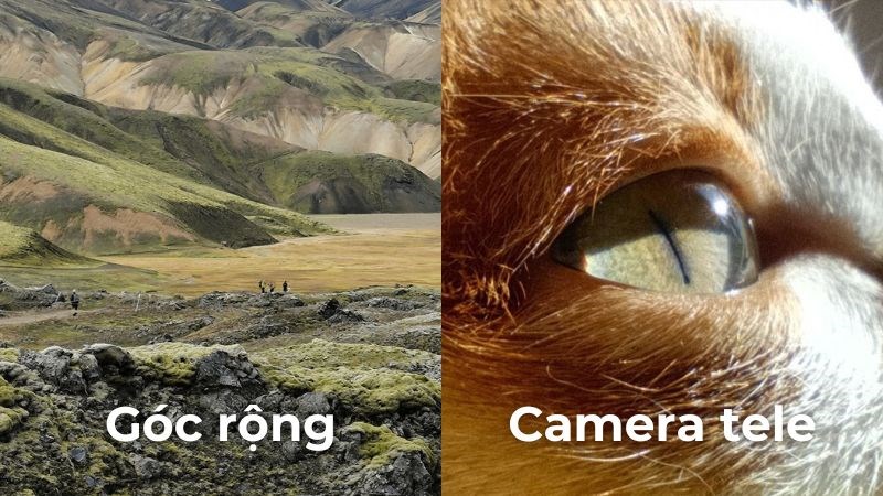 Ảnh chụp bằng camera góc rộng và camera tele của 2 phiên bản Ảnh chụp bằng camera góc rộng và camera tele của 2 phiên bản