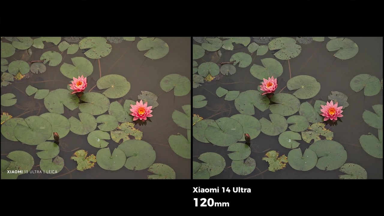 So sánh ảnh chụp giữa Xiaomi 14 Ultra (phải) và Xiaomi 13 Ultra (trái)